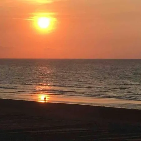 Apartamento In Belgium 50m From The Sea *
