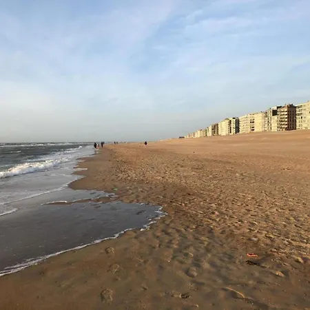 In Belgium 50m From The Sea * Koksijde