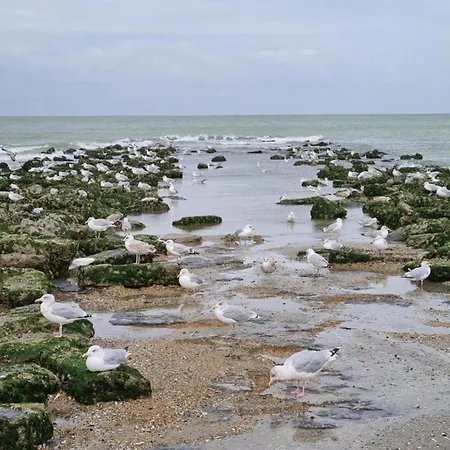 In Belgium 50m From The Sea Apartamento