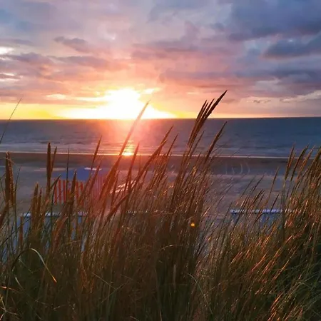 Apartamento In Belgium 50m From The Sea