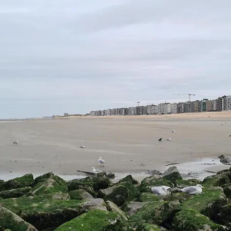 Apartamento In Belgium 50m From The Sea Koksijde